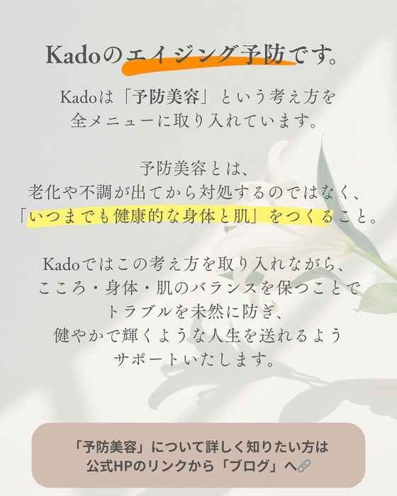 画像367