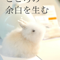 画像372